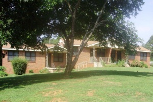 This image displays two entrances to brick row houses, this image also shows the front yard