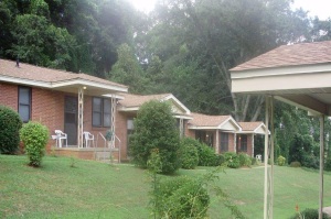 This image shows a series of entrances to a row house. THere are also many bushes in the image